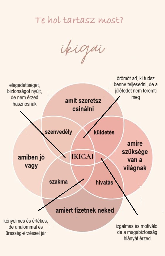 ikigaiteholtartasz